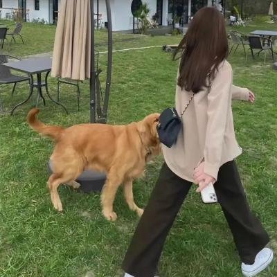 第一夫人